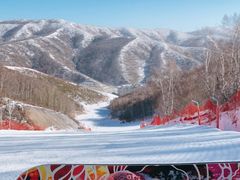 -密苑云顶乐园(云顶滑雪场)