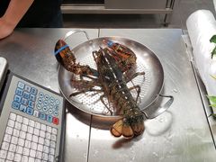 -超级物种·波龙工坊(国贸店)