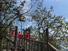 -棒棰岛宾馆景区