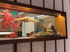 -牛New寿喜烧(新六百店)
