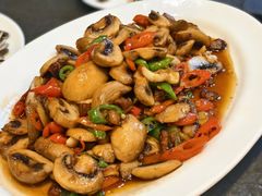 -东哥紫阳蒸盆子(旺座·现代城店)