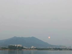 -福建鲤鱼洲酒店