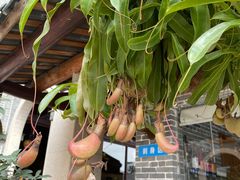 -顺德了能馆(虎门店)