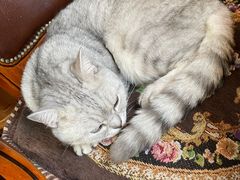 -不舍昼夜咖啡馆