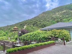-徂徕山森林康养度假谷温泉