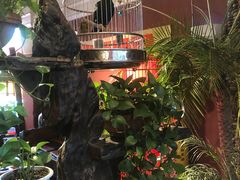 -大匠工房古船木艺术餐厅·猪肚鸡专门店(长白仙岛店)