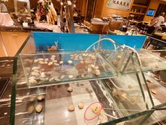 -安徽饭店·白鹭阁自助餐厅(梅山路店)