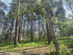 -黑龙江省森林植物园
