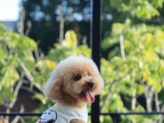 -小意思咖啡店(草桥店)