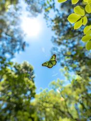 -美肤盾祛痘·问题肌头疗管理中心