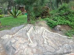 -漳州滨海火山岛自然生态风景区