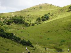 -大姆山草场