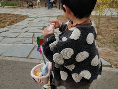 -东郊湿地公园