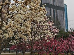 -大望京公园