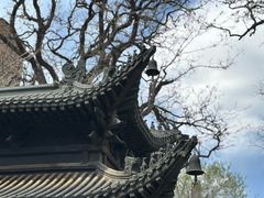 -护国法轮寺
