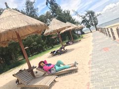 -北海金海湾红树林生态旅游区