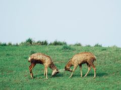 -良渚古城遗址公园