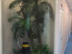 -希望齿科(河西店)