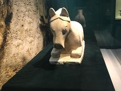 -宁夏博物馆