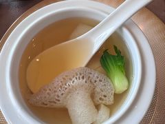 -三利音·浦之舟(滨江大道店)