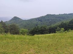 -玉泉威虎山森林公园
