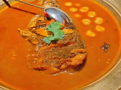 红焖南湾大鱼头-解家河南菜(金水路店)