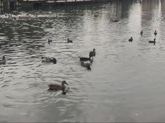 -前关湿地公园