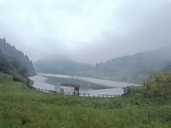 -武陵山森林公园