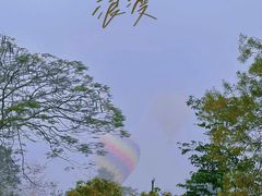-中国科学院西双版纳热带植物园