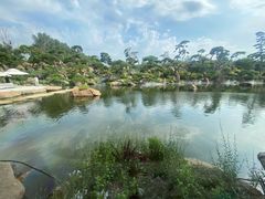 -罗红摄影艺术馆