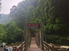 -碧峰峡风景区