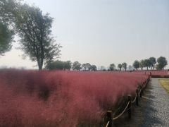 -汉长安城未央宫国家考古遗址公园