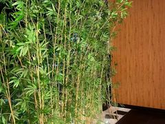 -新紫霞养生·影院足道·SPA(金山区店)