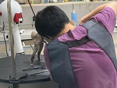 -宠颐生动物医院·小陆分院