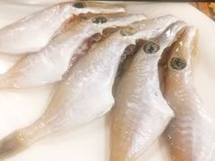 -肥婆麻辣火锅.顺德首创药材麻辣火锅(容桂店)
