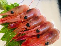 -千代武日本料理(哈西店)
