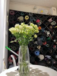 -无界瑜伽普拉提