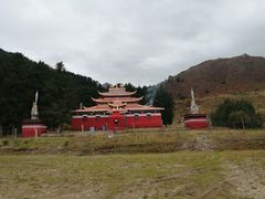 -四川郎木寺