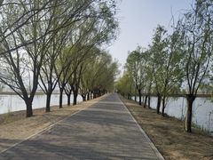 -野鸭湖国家湿地公园