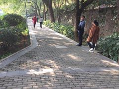 -雨湖公园