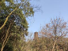 -都江堰景区