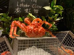 -广州富力君悦大酒店·凯菲厅