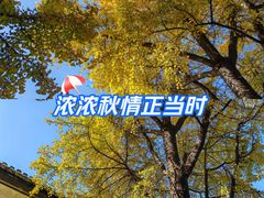 -高淳老街