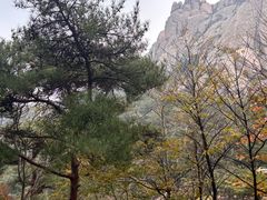 -崂山仰口游览区
