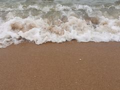 -渡海小渔村.老辈日照菜