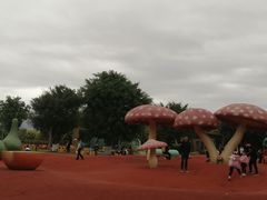 -琅岐红光湖公园
