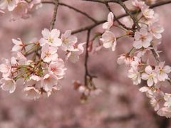 -白塘生态植物园