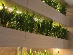 -A+阿加汤宿(大悦城店)