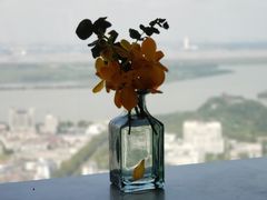 -镇江苏宁银河国际酒店-大堂酒廊