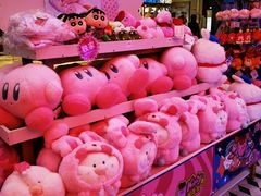 -LLJ夹机占(西直门凯德店)